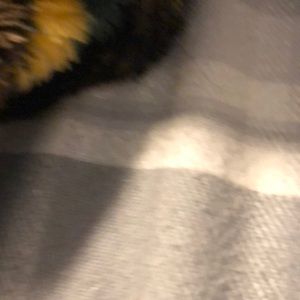 Meet your Posher, Connor